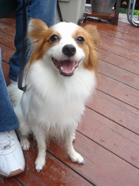 DSC01439.jpg